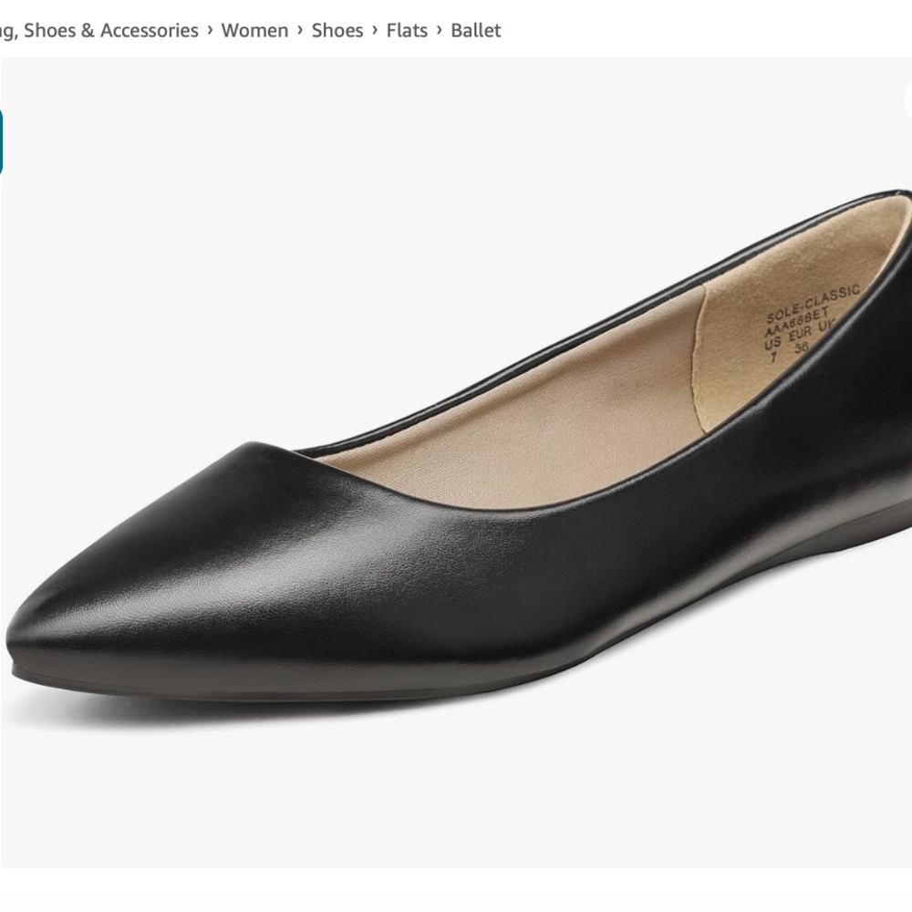 BRAND NEW Pointed Toe Flats US 8.5